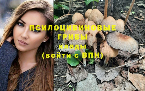 альфа пвп Нефтегорск
