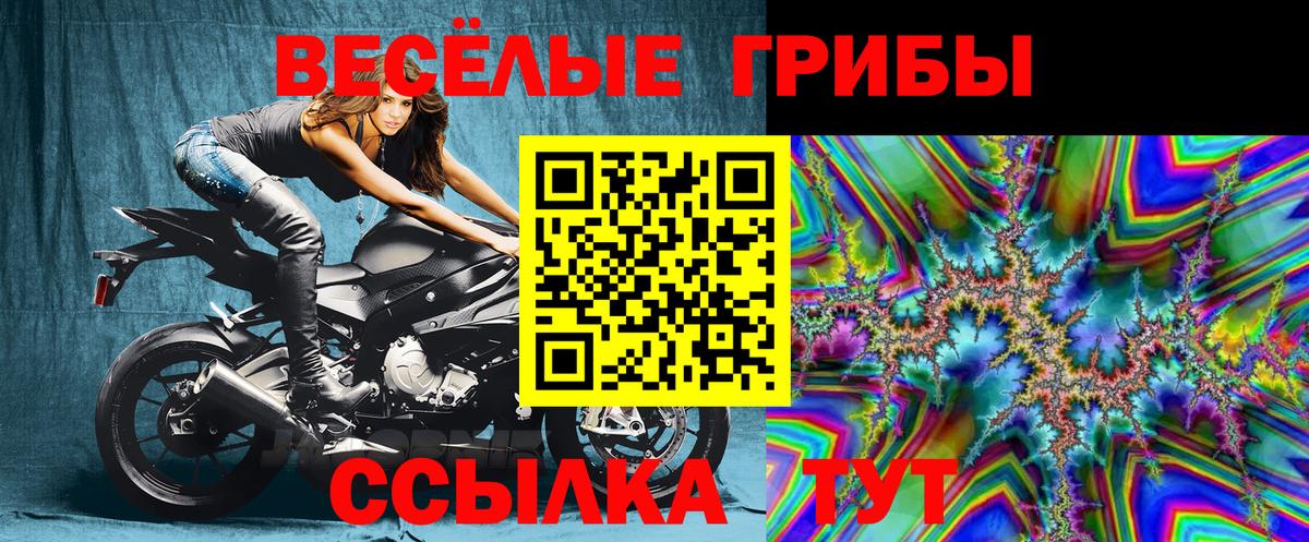 Псилоцибиновые грибы Magic Shrooms  Галлюциногенные грибы Psilocybe  Вход с VPN  Иваново 